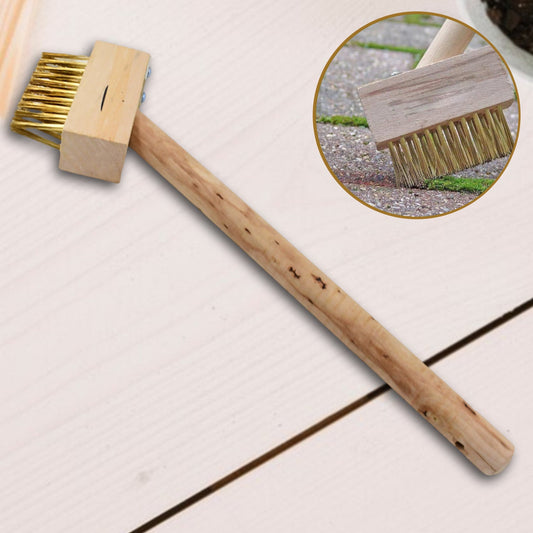 Paving Brush