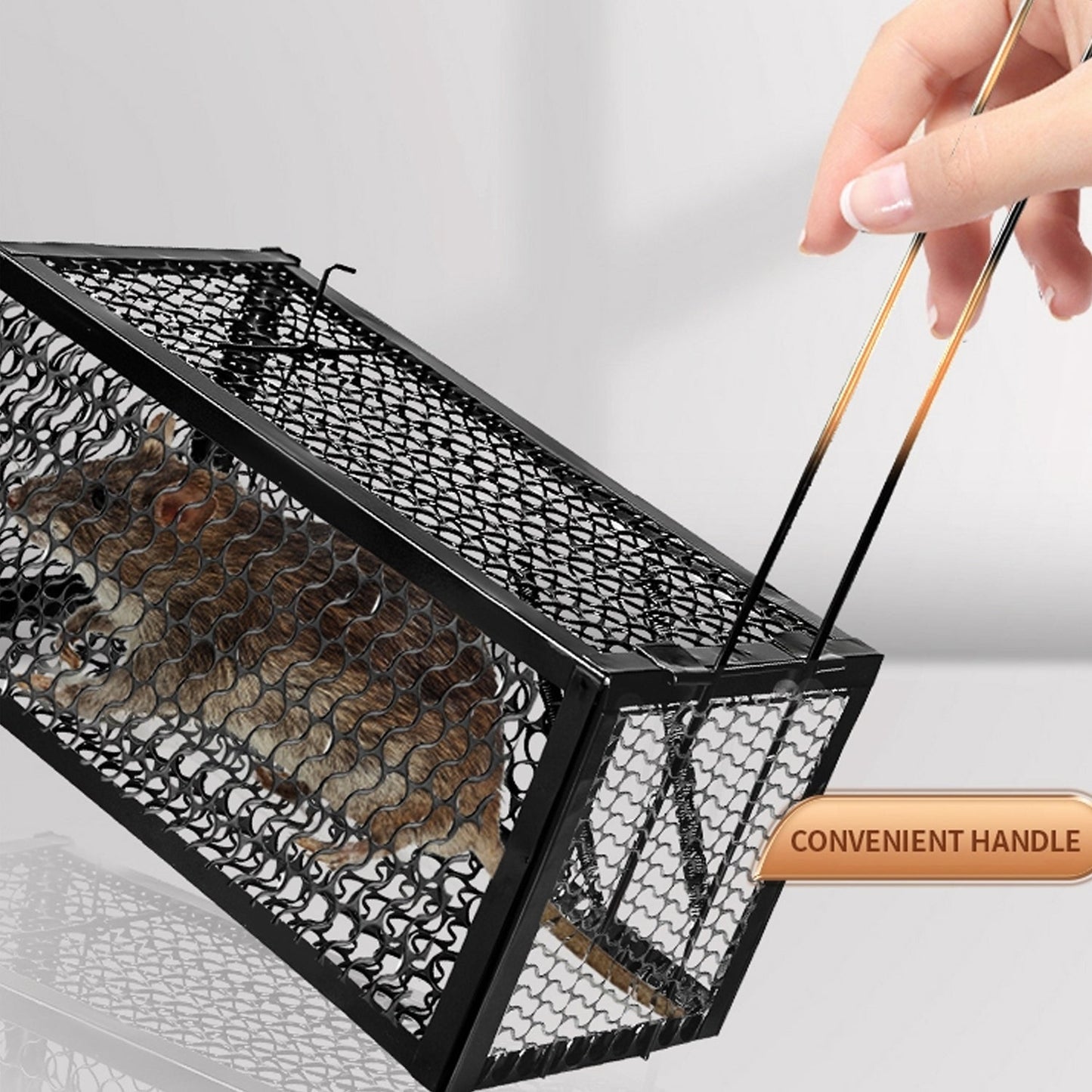 Live catch cage for mice and squirrels.