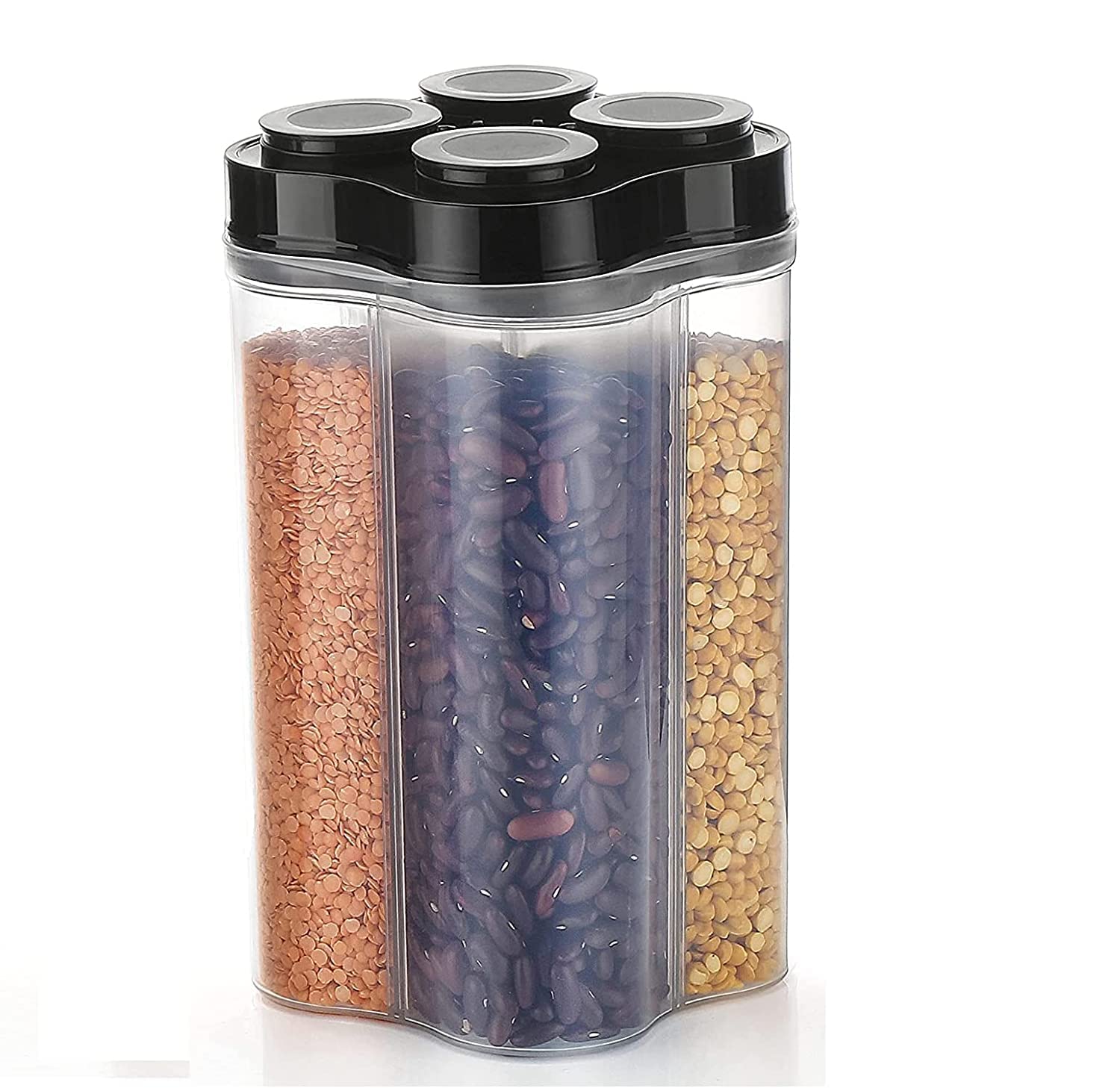 Large 4-section food storage container